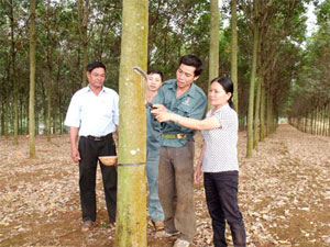 Denmark helps Dak Lak develop agriculture